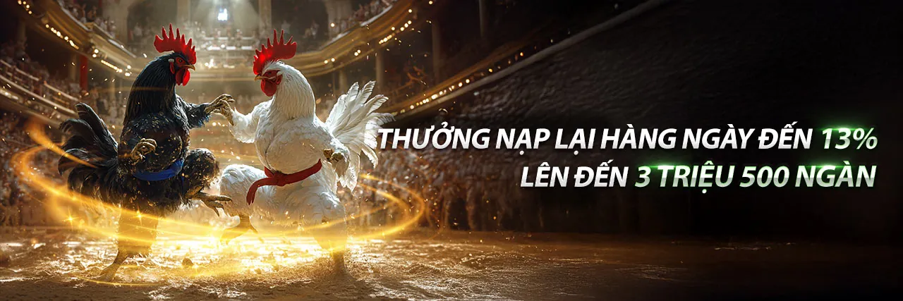 Đá gà trực tiếp 29/5 tại 1888bet